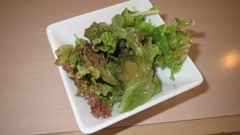 IMG_1927 IMG_1927