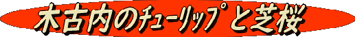 KIKONAI