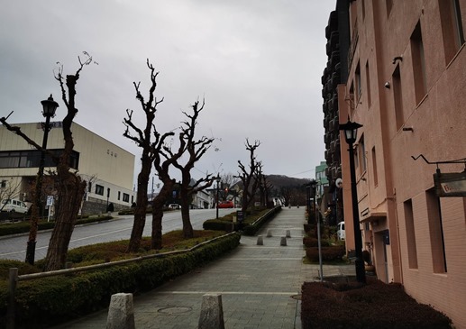 IMG_20221128_143244_1 IMG_20221128_143244_1