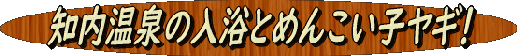 ONSENTOKOYAGI