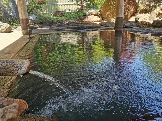 IMG_20220529_124620_1