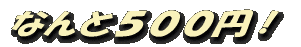 なんと500円!