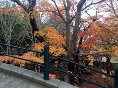 IMG_6913