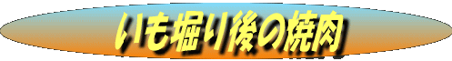 image2 image2