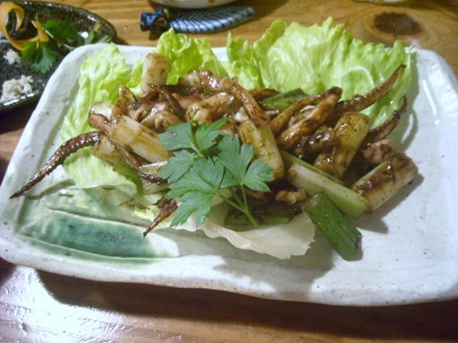 DSCN2577 DSCN2577