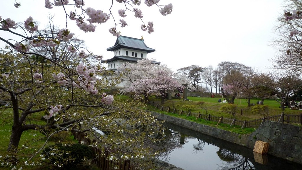 松前の花見 函館の飲み食い日記 Powered By ライブドアブログ 松前の花見 函館の飲み食い日記 Powered By ライブドアブログ