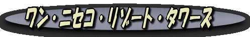 image304