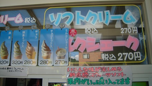 DSCN3500 DSCN3500