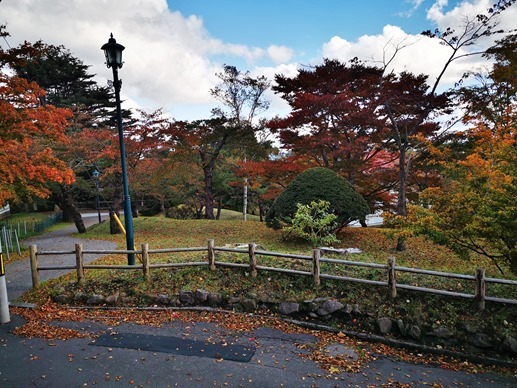 IMG_20211028_135529_1