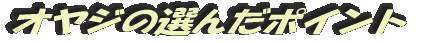オヤジの選んだポイント
