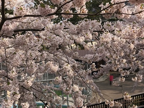 sIMG_4104 sIMG_4104