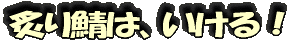 �դ껪�ϡ������롪