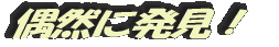 偶然に発見!