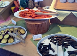 IMG_7591 IMG_7591