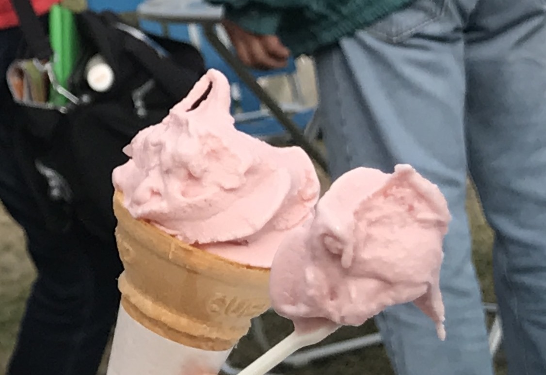 松前の桜とソフトクリーム 函館の飲み食い日記 Powered By ライブドアブログ