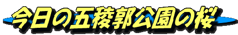 image2 image2
