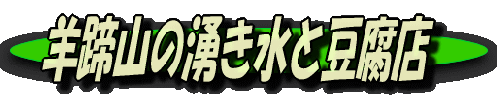 image301
