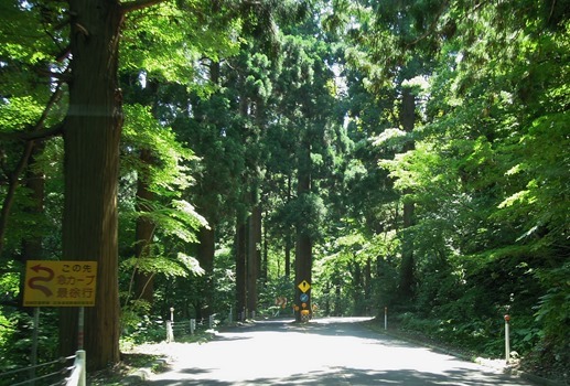 DSCN3723