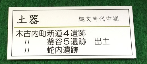 IMG_6120 (2)