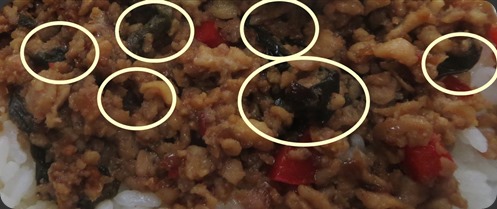 IMG_0683 IMG_0683
