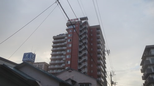 IMG_1254 IMG_1254