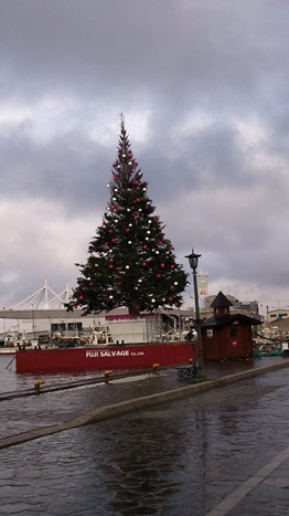IMG_3340 IMG_3340