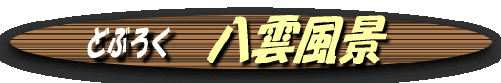 image1 image1