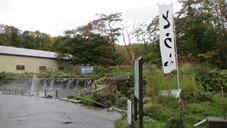 IMG_4905 IMG_4905
