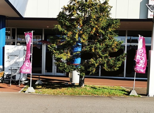 ssIMG_20221104_132901_1