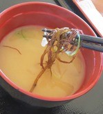 IMG_2426