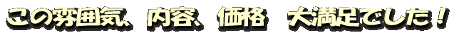 これは、満足でたー!
