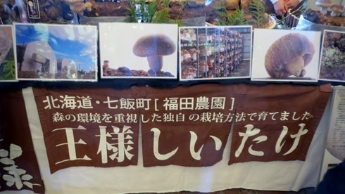 IMG_5667 IMG_5667