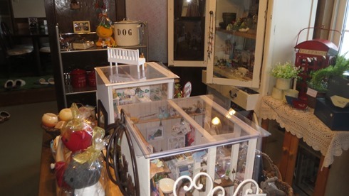 IMG_1806 IMG_1806