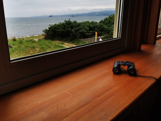 IMG_20200721_124316_1