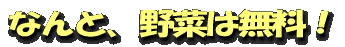 なんと、野菜は無料!