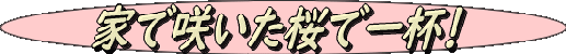 sakura sakura
