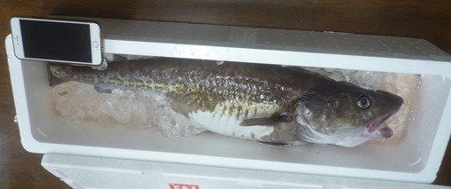 P2250328
