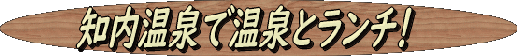 shiriuchi-onsen