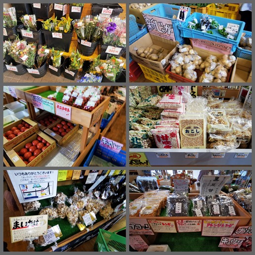 zzzIMG_20220822_121742_Fotor_Collage