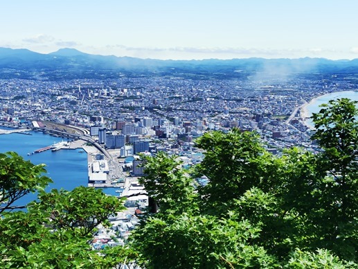 IMG_20210628_102524 IMG_20210628_102524