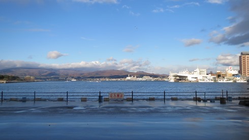 IMG_7175 IMG_7175