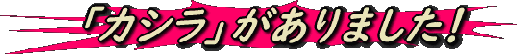 kasira2 kasira2