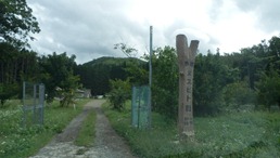 P9193614