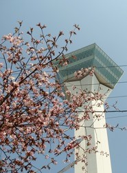 IMG_6630