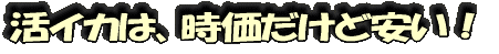 活イカは、時価だけど安い!