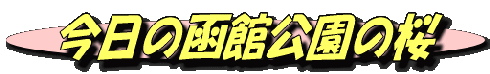 image2 image2