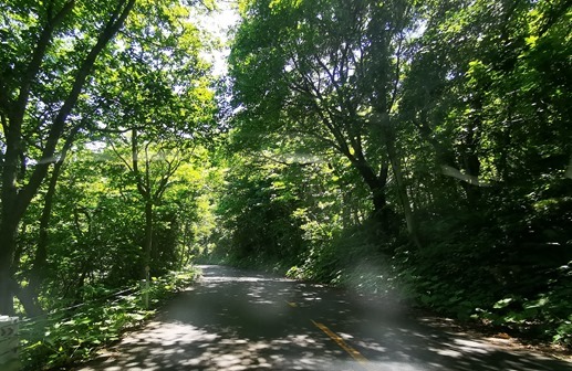 IMG_20210628_103140 IMG_20210628_103140