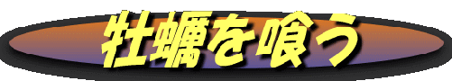 image7 image7