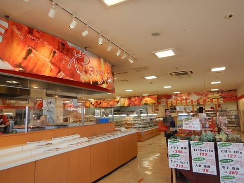 DSCN2003