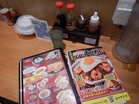 DSCN0087